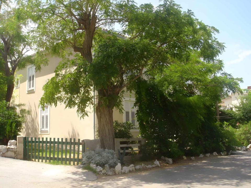external view