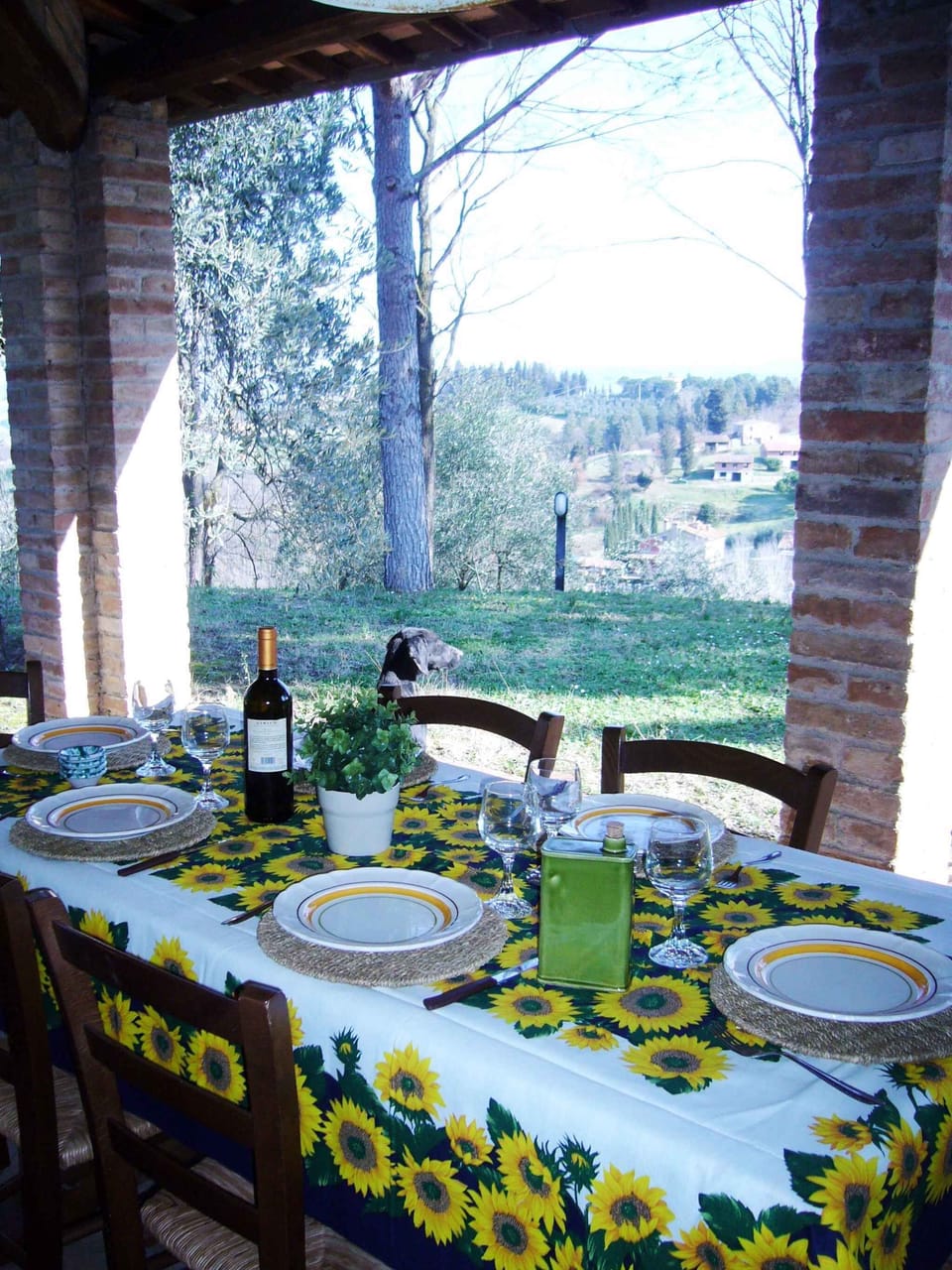 terrace