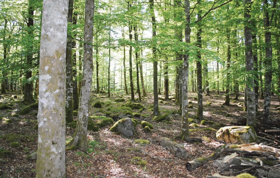 area