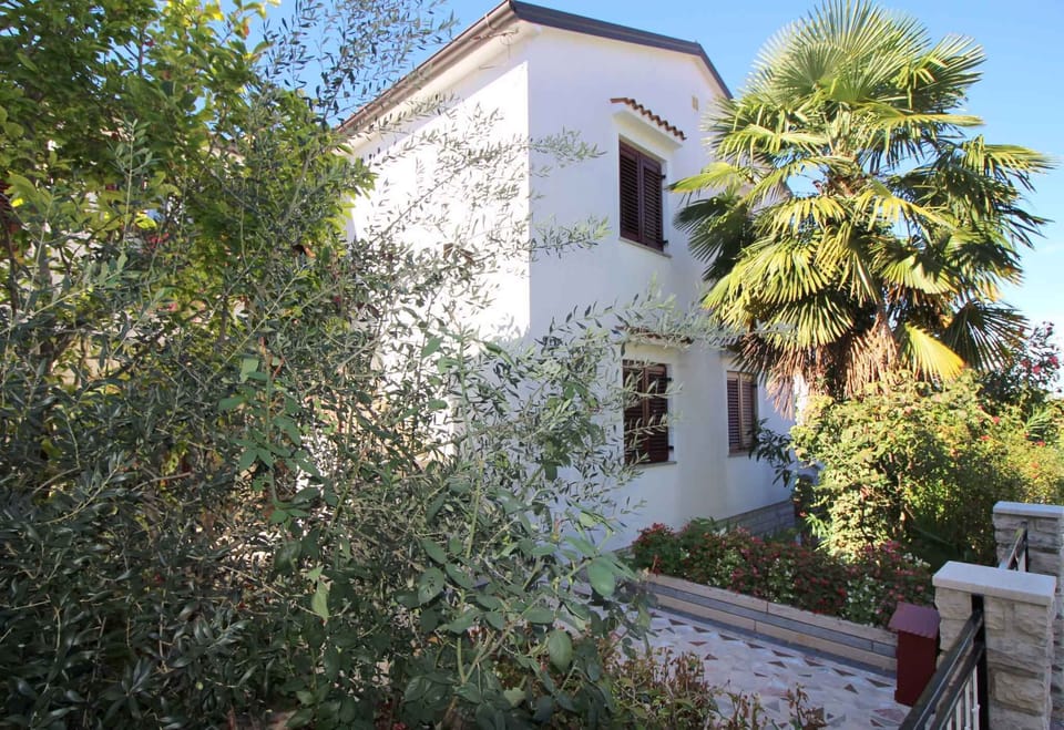 external view