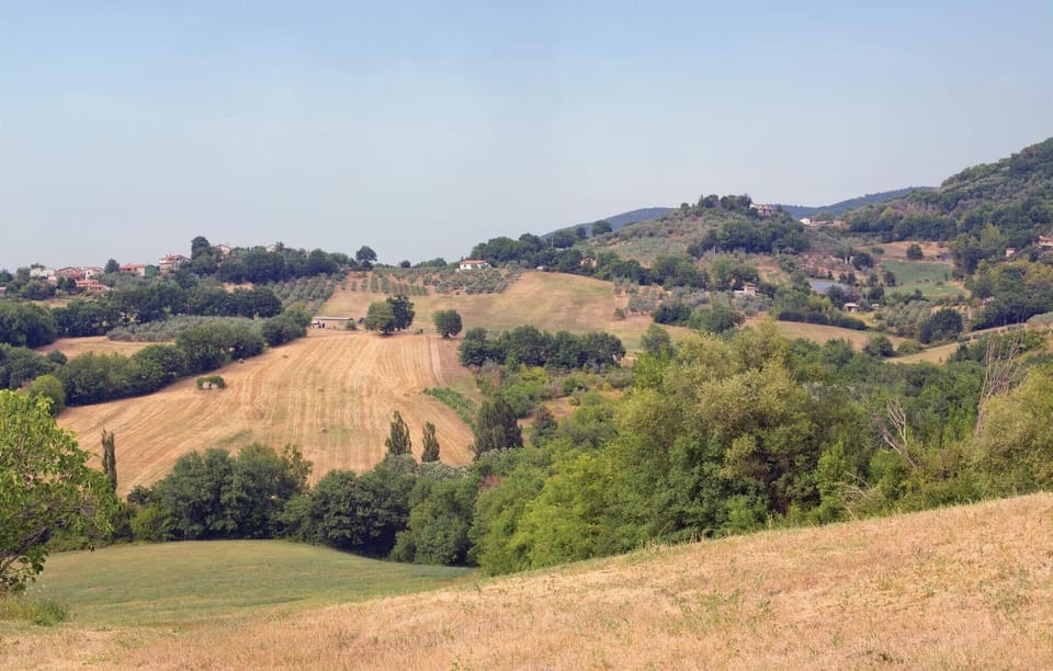 area