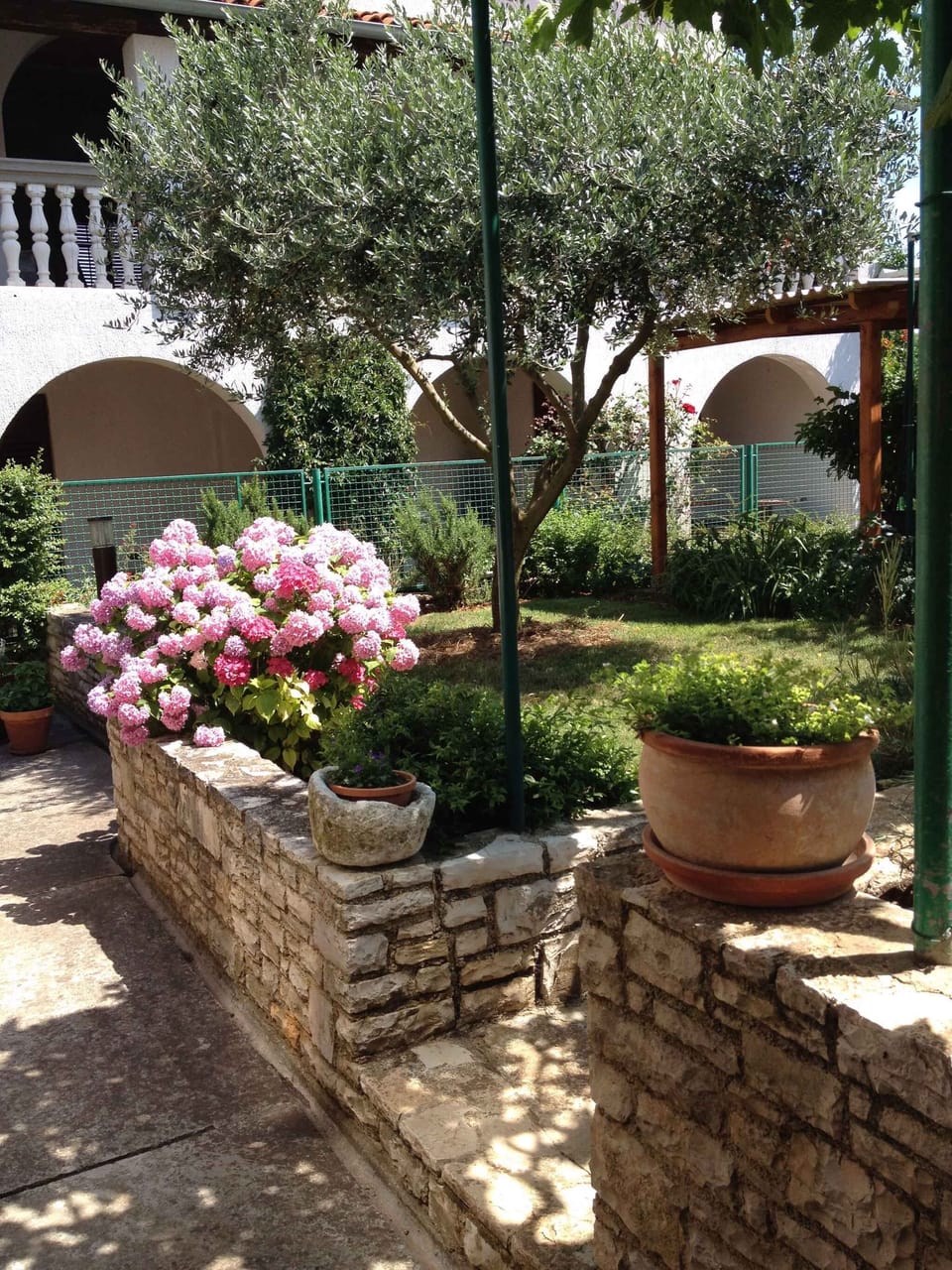 garden