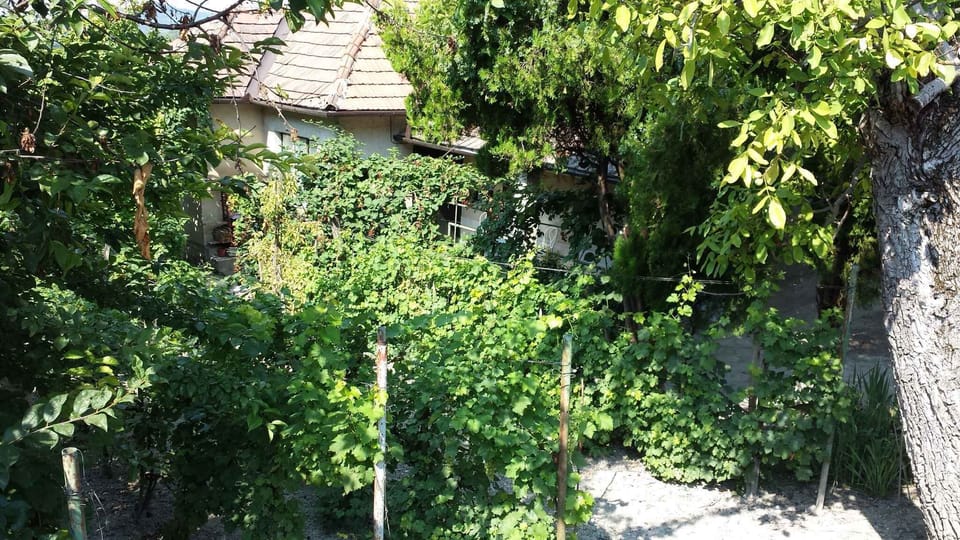 external view