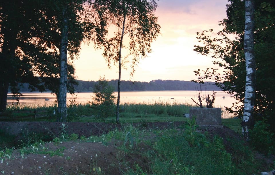 area