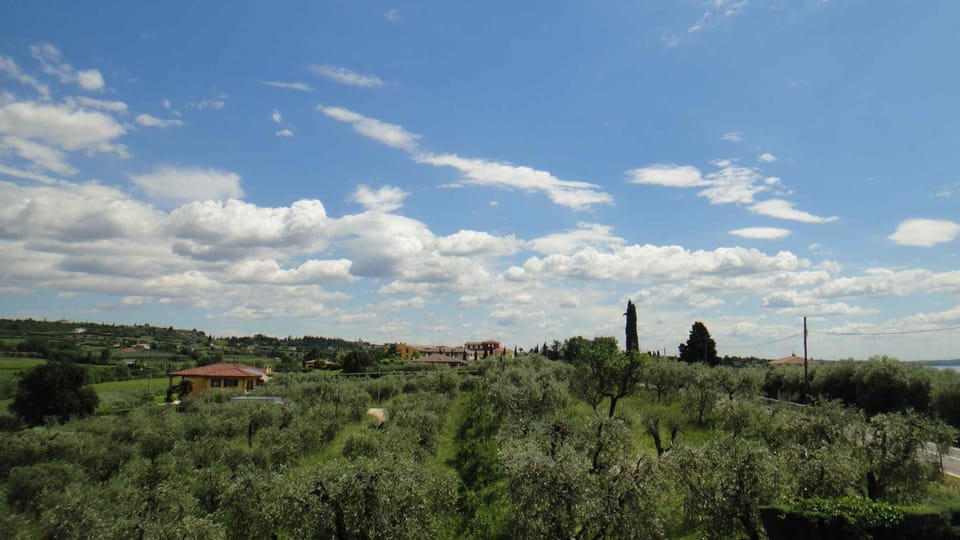 external view