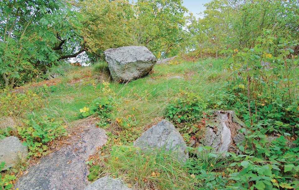 area