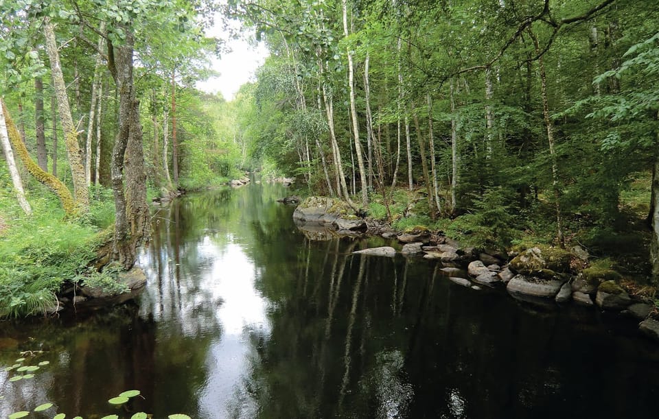 area