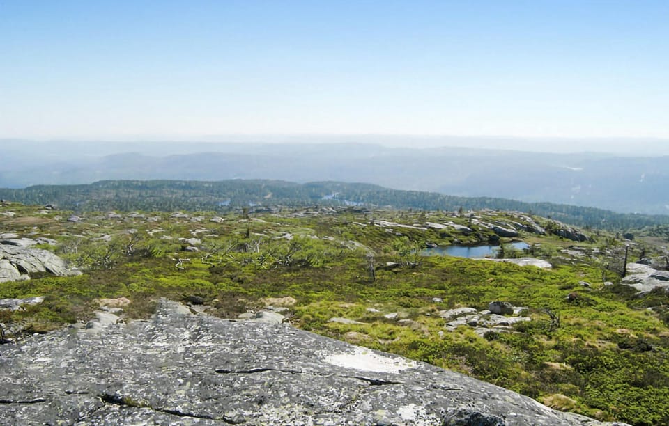 area