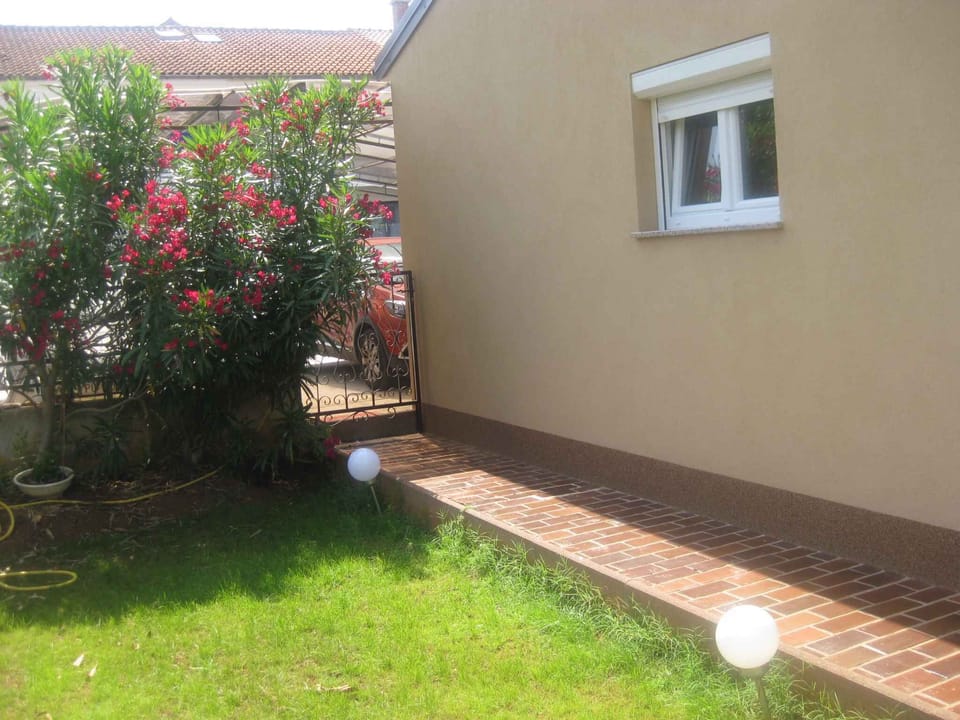 external view