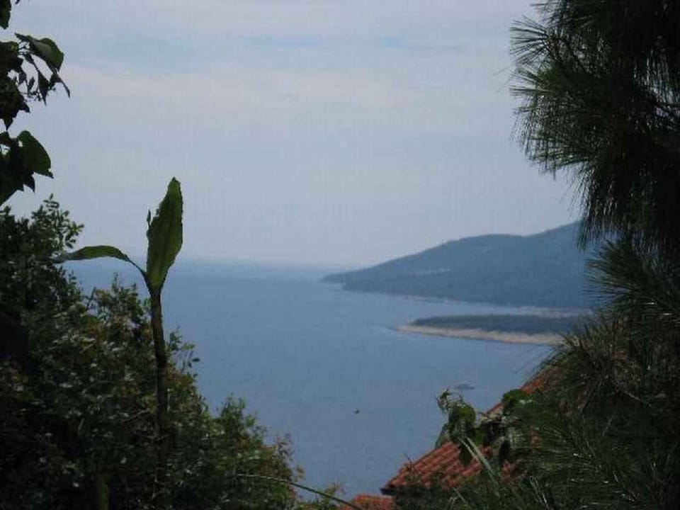 external view