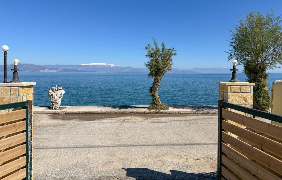 view-from-room