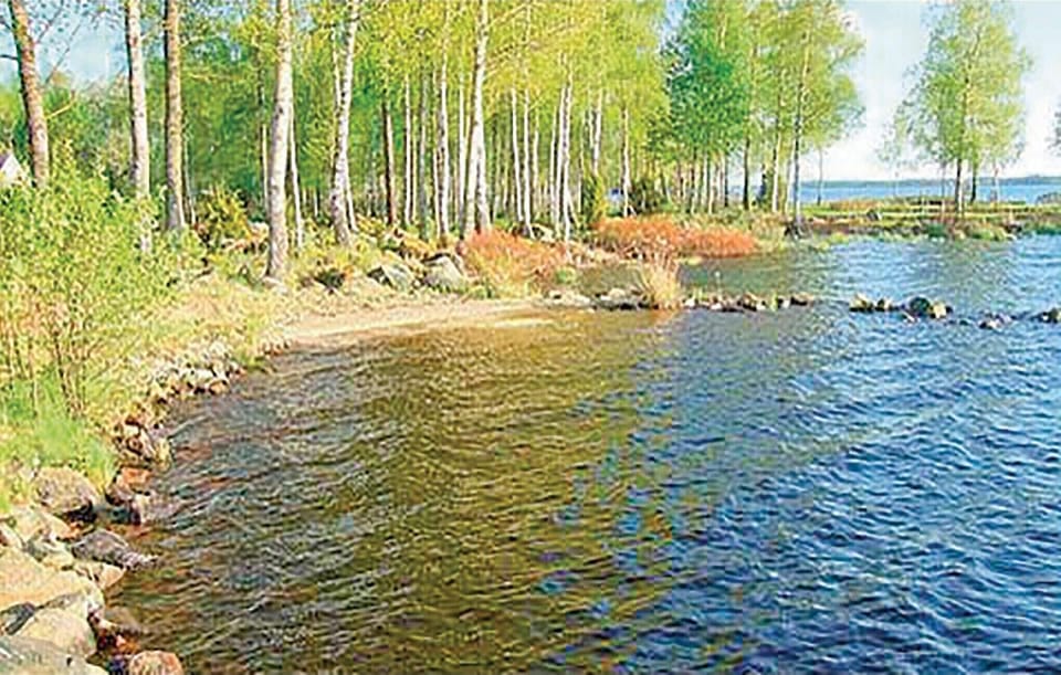 area