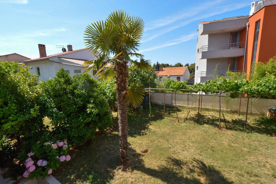 garden