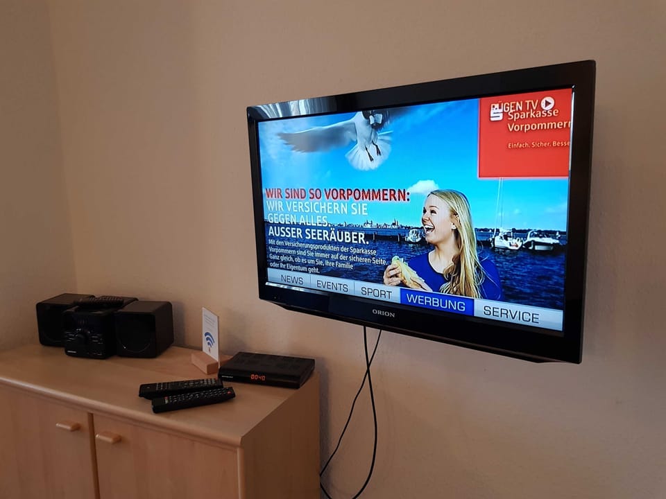 Television