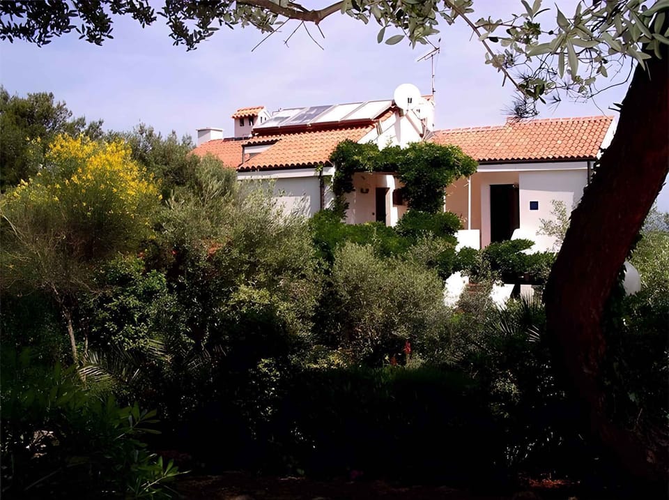 external view