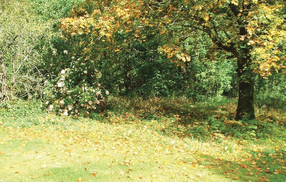 area