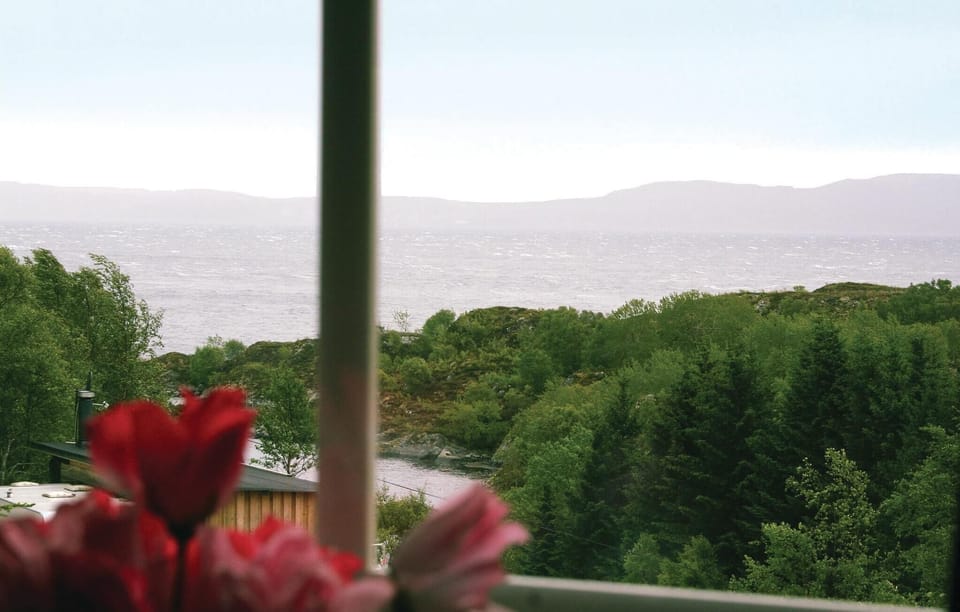view-from-room