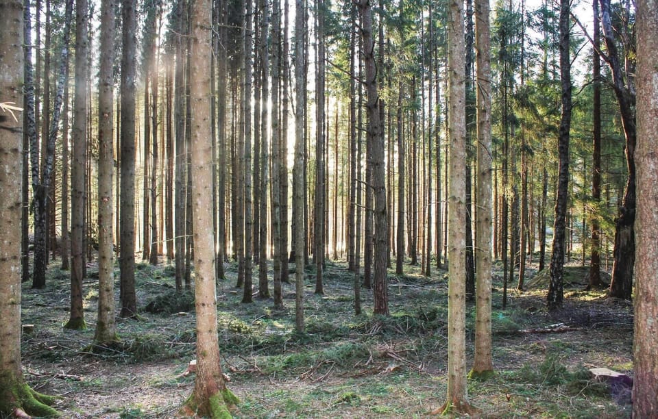 area