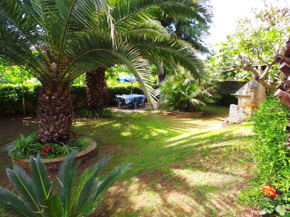 garden