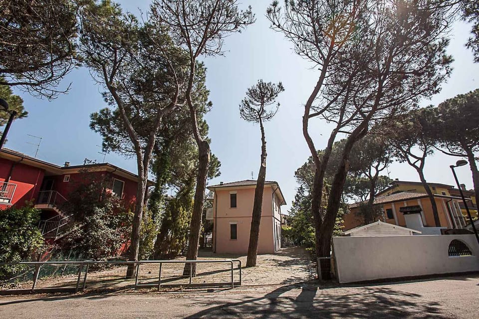 external view
