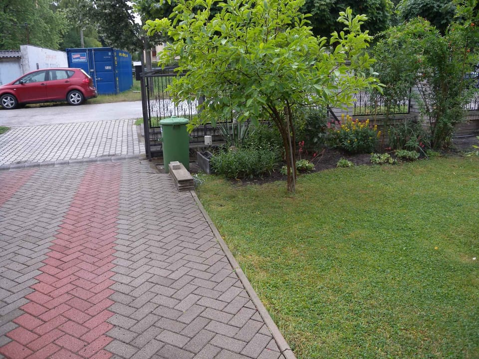 garden