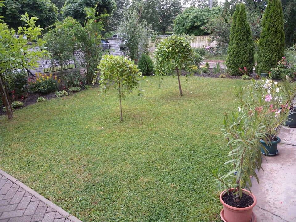 garden
