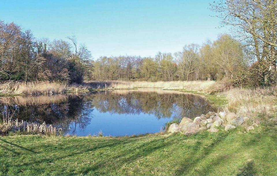 area