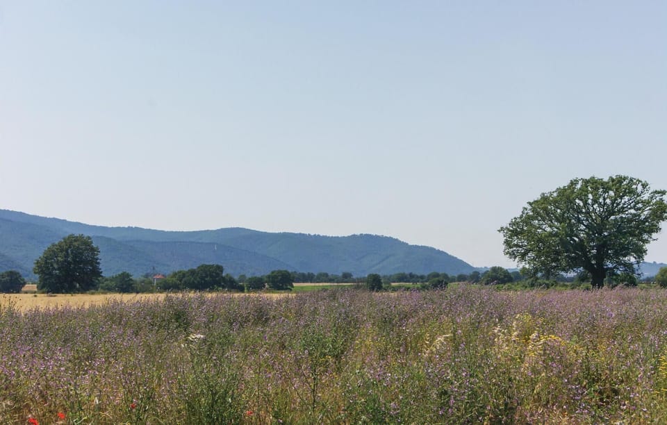 area