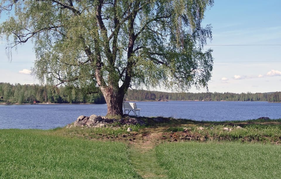 area