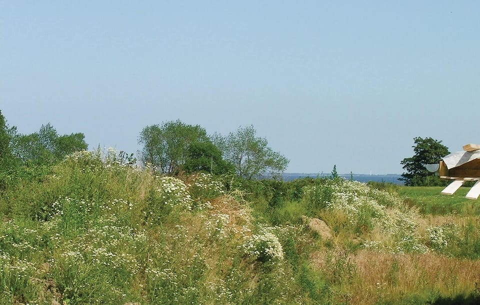 area