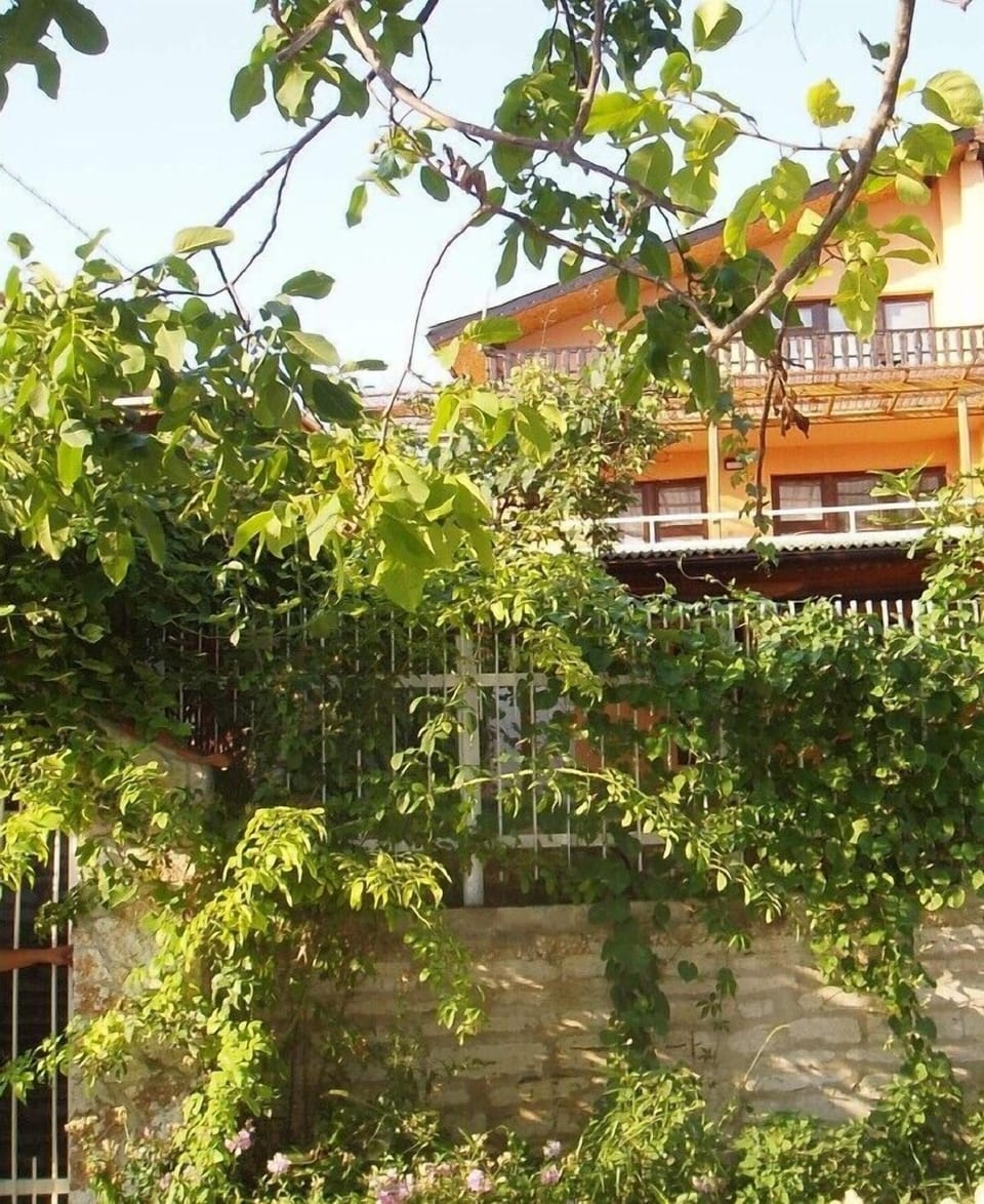 Holiday house 3 floors 1st row from forest