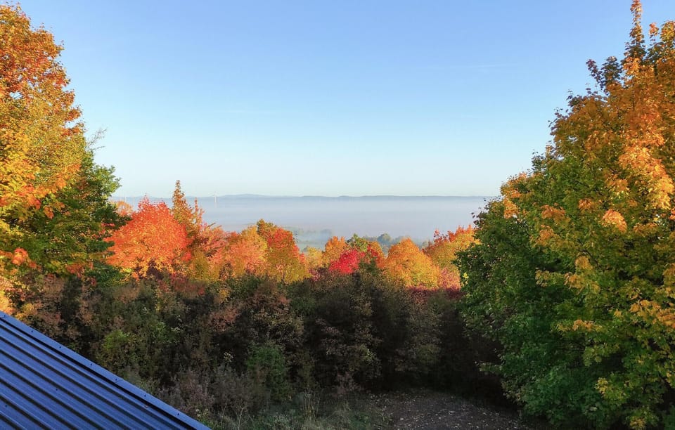 view-from-room