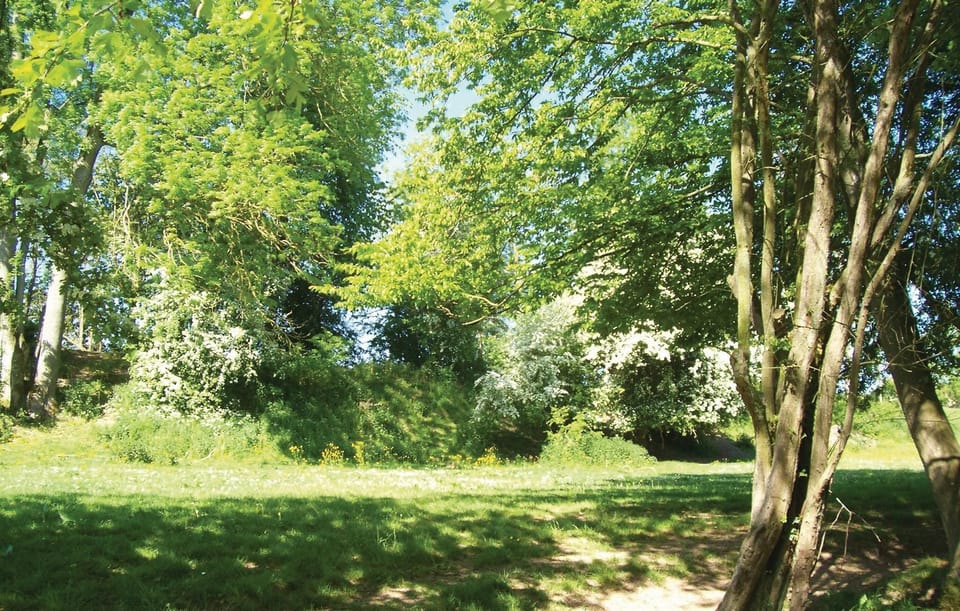 area