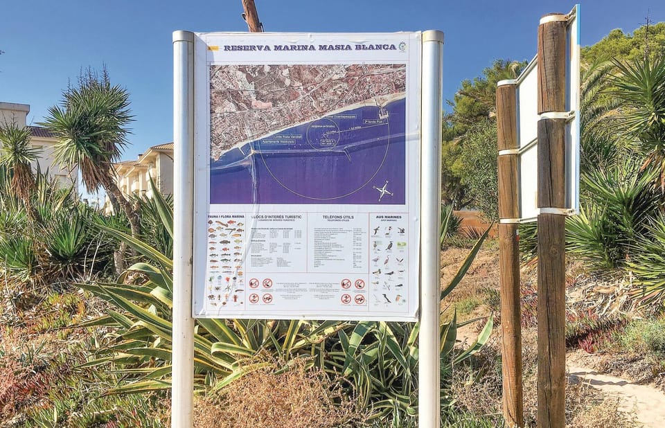 area