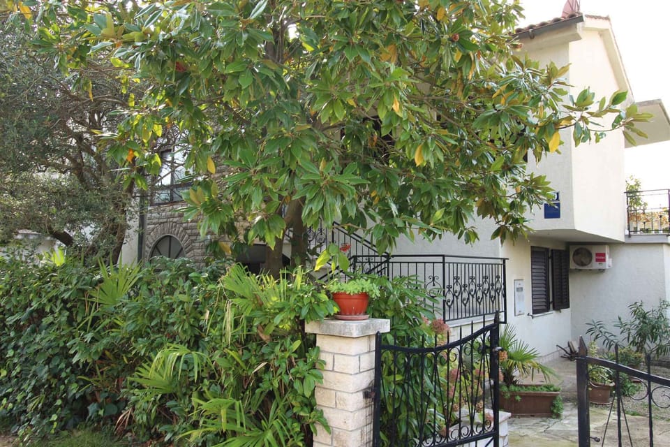external view