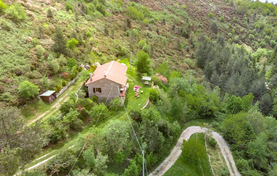 activities