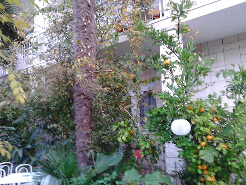 external view