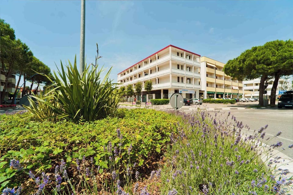 external view