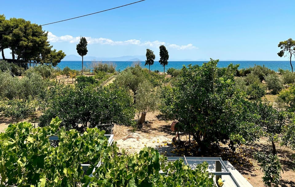 view-from-room