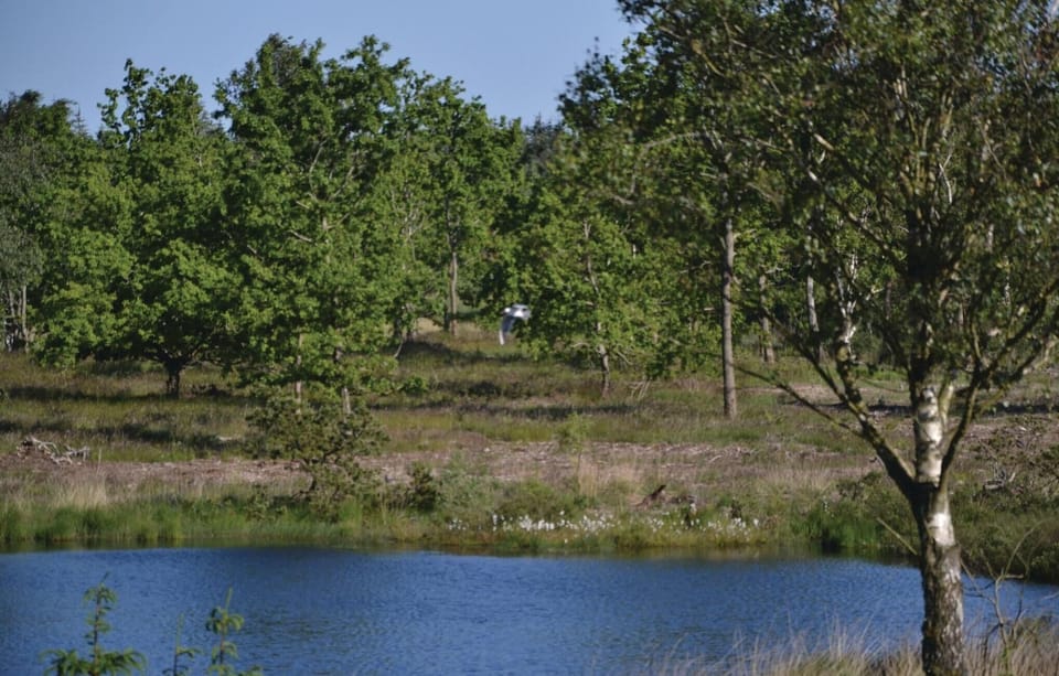 area