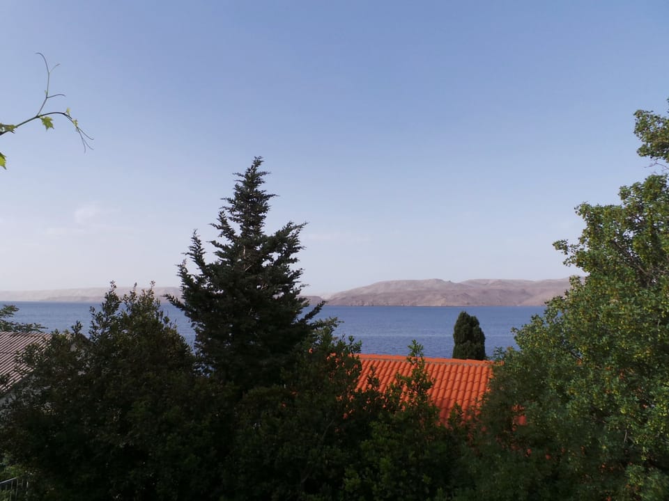 external view