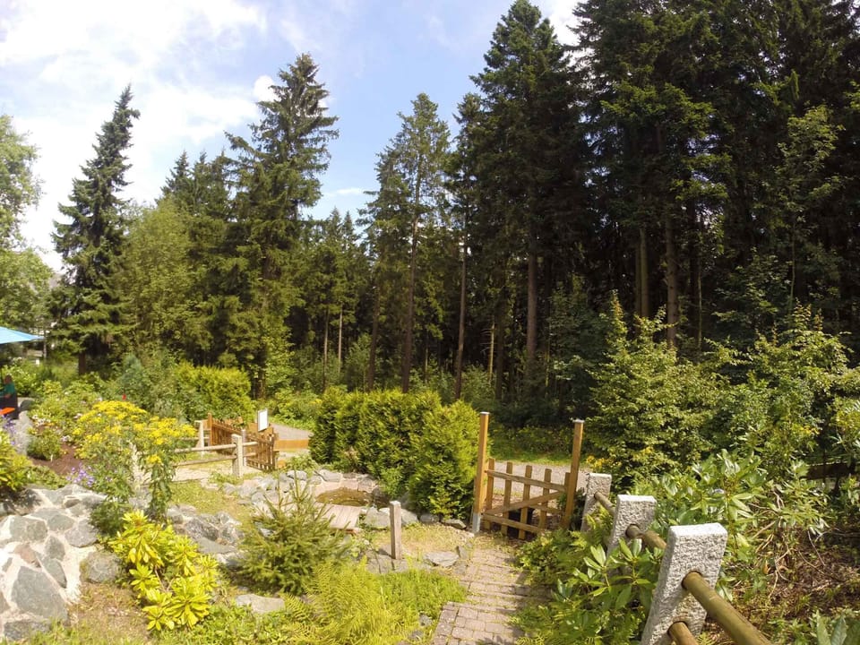 garden