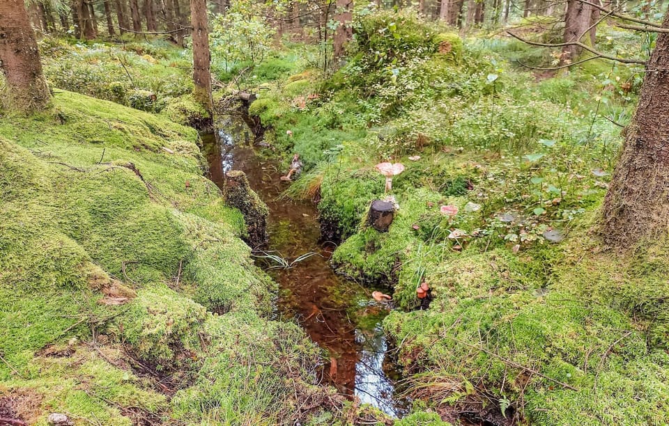 area