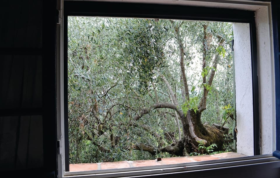 view-from-room