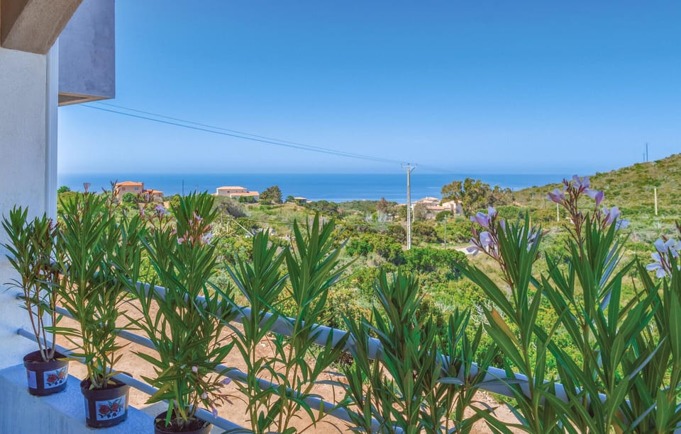 view-from-room