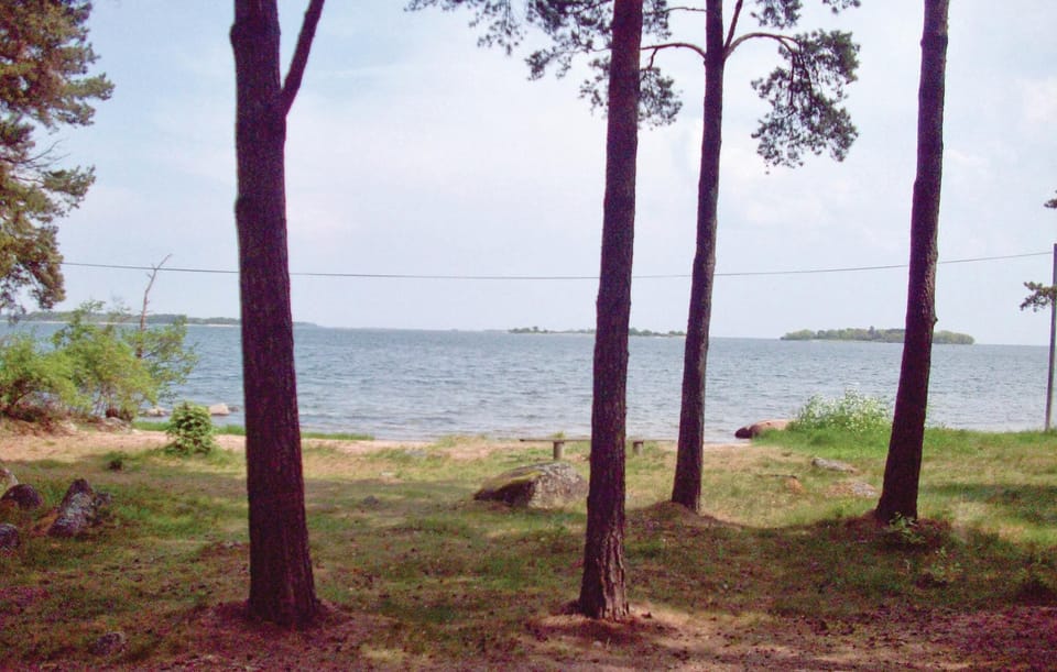area