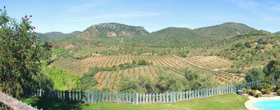 Mountain view
