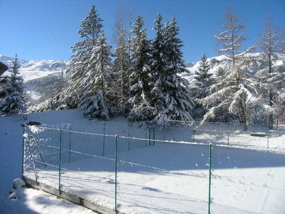 Miscellaneous