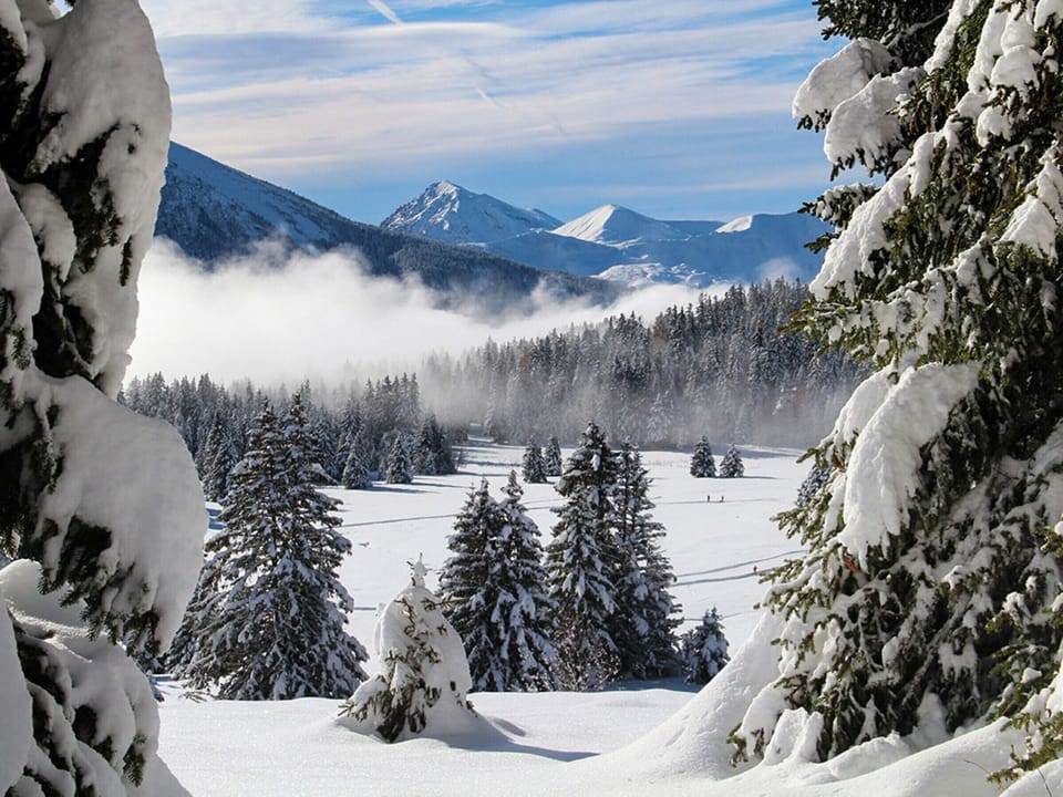Snow and ski sports