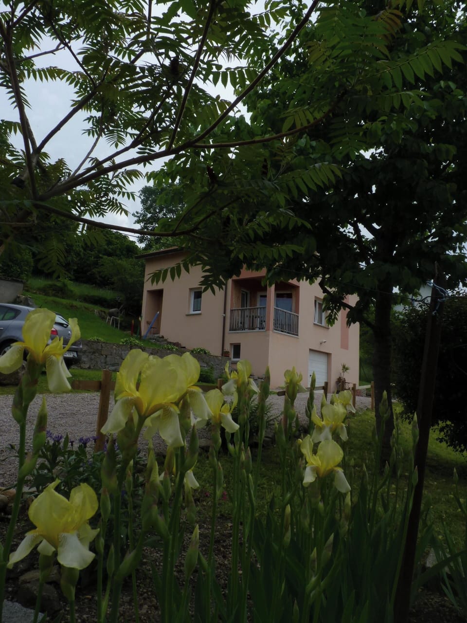 Garden view